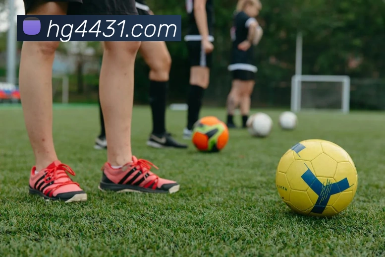 皇冠体育网站入口服务体系